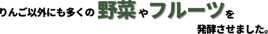 りんご以外にも多くの野菜やフルーツを発酵させました。