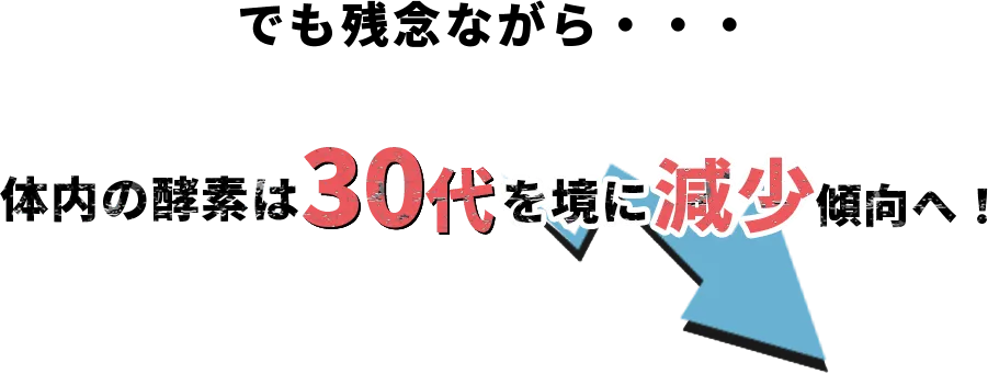 でも残念ながら・・・体内の酵素は30代を境に減少傾向へ！